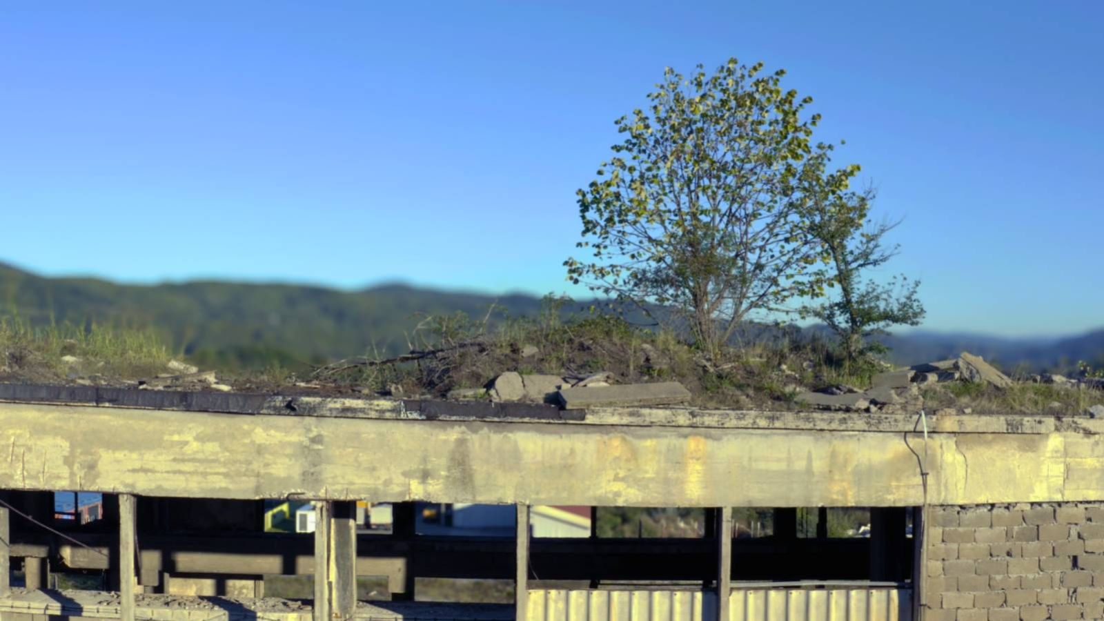 Erinnern, wenn Geschichte nicht stillsteht, Mikal Maldoror